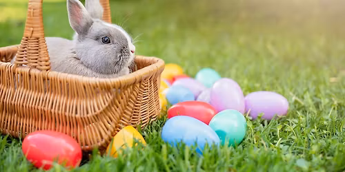 Rippon Lodge Colonial Easter Egg Trail 