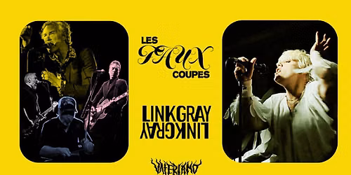Les Faux Coupes \/\/ LINK GRAY - Vaterland
