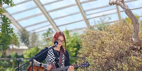 Live Music - Melody Shads