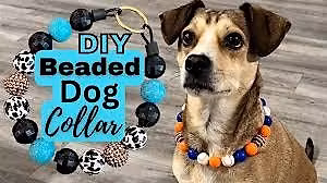 Build a Personalized Beaded Dog Collar - Open to the Public!