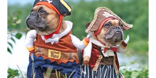 Touch of Magic - Silly Pirates