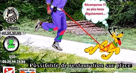 Course de Mi For\u00eat \u00e0 Liffr\u00e9 35