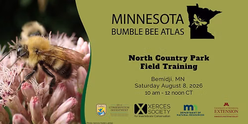 Minnesota Bumble Bee Atlas Field Day at North Country Park