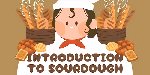 Introduction to Sourdough