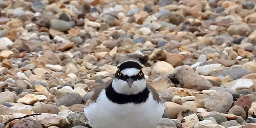 Evening Talk - Past, present & future. Welcome to Chester Smith
