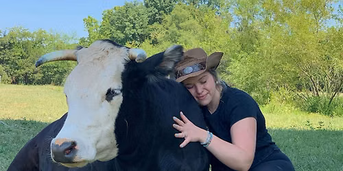 Open Sunday at The Gentle Barn