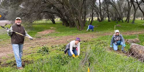 Volunteer Workday: Folsom Lake State Recreation Area