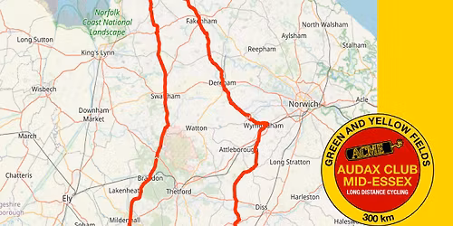 Green and Yellow Fields 300