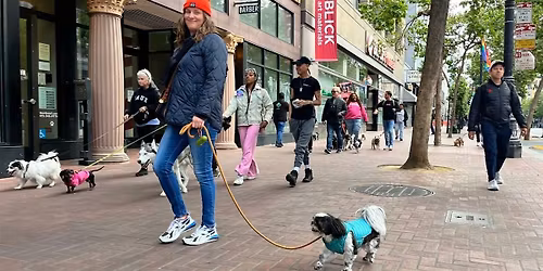 Market Street Pack Walk 2026 Season