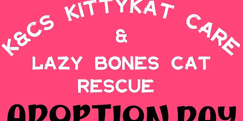 KittyKat Adoption day