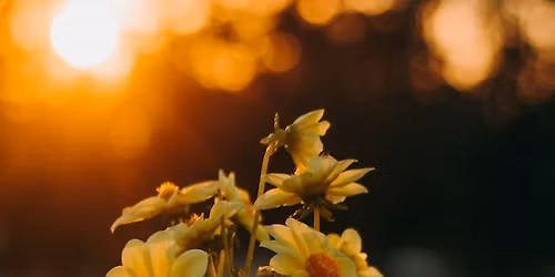 Seasons Of Change ~ A 3 Part Reflective Journey for Women