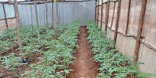 Agri skills and information day 