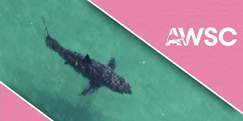 November Cape Cod Meeting