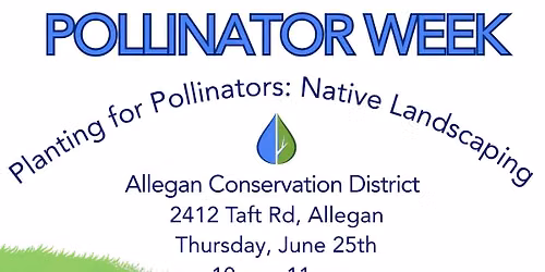 Planting for Pollinators: Native Landscaping
