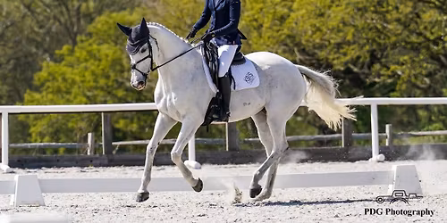 Golden Cross BD and Unaffiliated Dressage, Thursday 13 November.