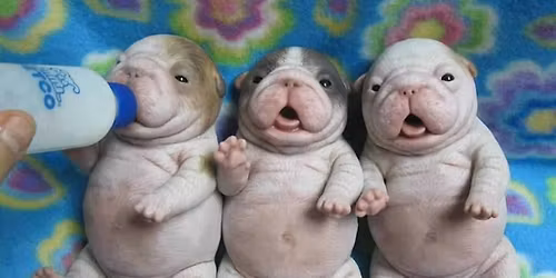 cruising with Christ