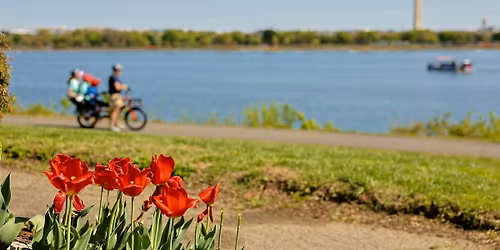 America250 Bike Ride on the Mount Vernon Trail