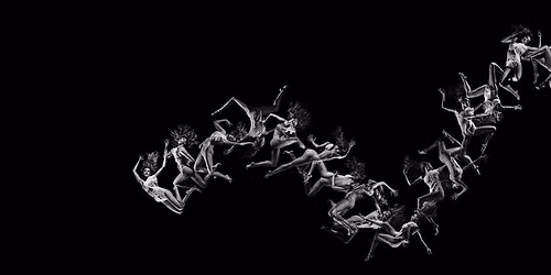 Anima Obscura | Scapino Ballet Rotterdam | Schouwburg Tilburg