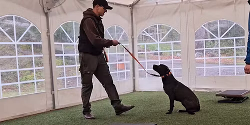 Becoming a Rock Star Dog Handler Training #9
