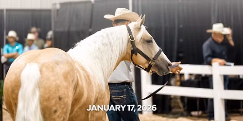 Shawnee Winter Horse Sale