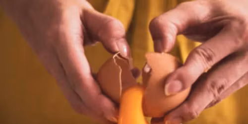 Artisan Ravioli Making - NYC