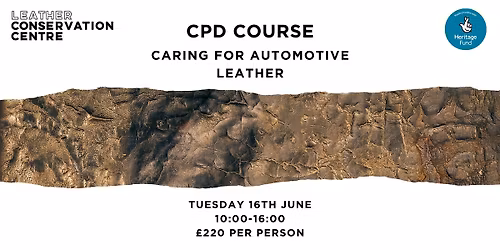 Caring for Automotive Leather