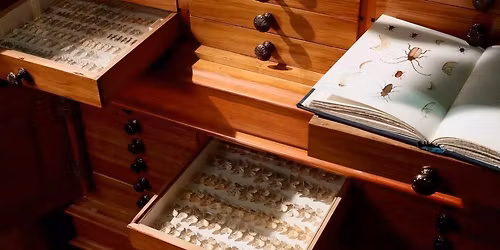 From Moths to Stars \u2013 the bequest of G.V. Hudson - FULLY BOOKED