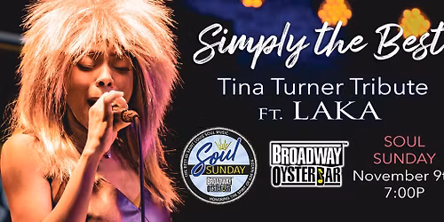 The Tina Turner Tribute ft. Laka