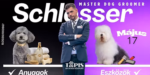 Sz\u0151rt\u00edpusra Hangolt Kozmetika \u2013 Anyagok, Eszk\u00f6z\u00f6k \u00e9s Modern Technik\u00e1k Szemin\u00e1riuma