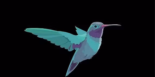 WILD FIRE SERIES: Sweetly Syncing with Your Purpose Through Hummingbird Medicine