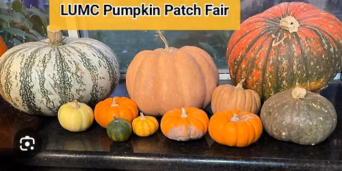 Pumpkin patch fair