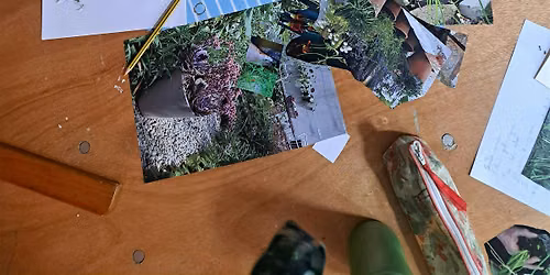 Mindful botany workshop