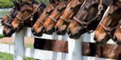 Annual AGM and Prize Giving 2025