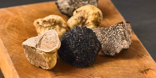 Get Into Some Truffle at Central Market San Antonio