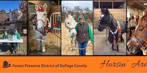 Horsin' Around Day: Trick-or-Treat