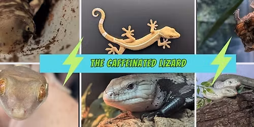 The Caffeinated Lizard at the Indiana Reptile Breeders Expo