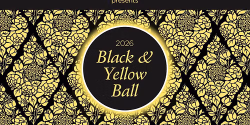 Black & Yellow Ball
