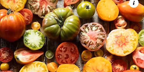 mercato del contadino