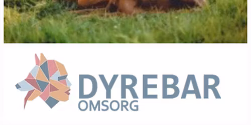 Dyreassisterte tiltak med hund