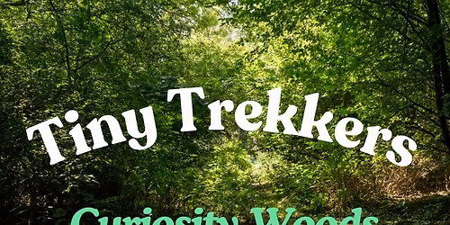Tiny Trekkers: Curiosity Woods