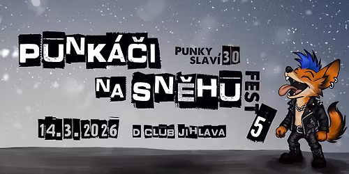 Punk\u00e1\u010di na sn\u011bhu fest V.