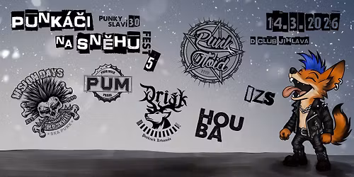 Punk\u00e1\u010di na sn\u011bhu fest V.