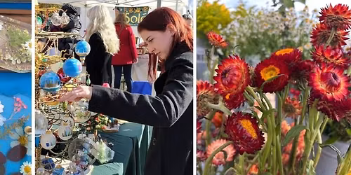 Winter Festival & Holiday Market @ Mellano Farm Stand