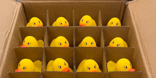Dam Duck Race \u201826
