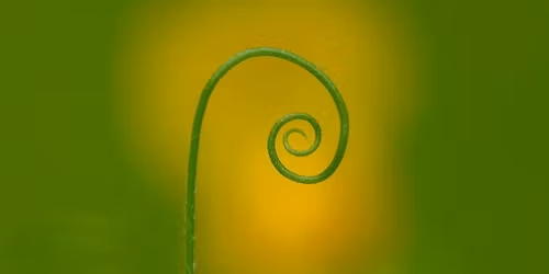 Get a Grip Macro Photography Workshop