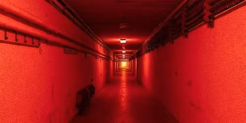 Bervie Brow Bunker Tour for the Summer Solstice