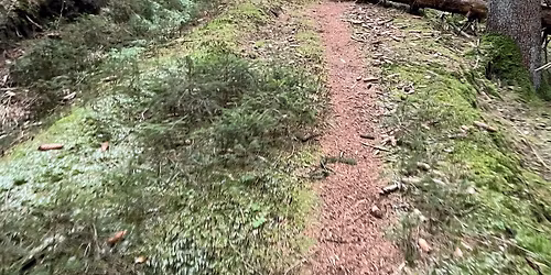 Rutefremvisning #2 Wayout Backyard Ultra