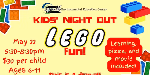 LEGO Fun - Kids' Night Out at Sturgeon City