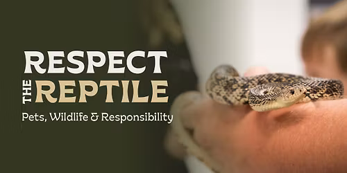 Respect the Reptile: Pets, Wildlife & Responsibility