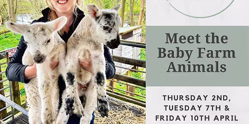 Meet the Baby Farm Animals